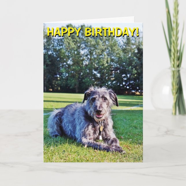 Tarjeta de felicitaciones adaptable del acechador (Anverso)