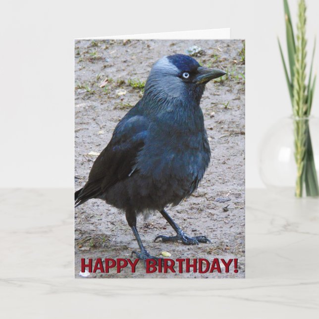 Tarjeta de felicitaciones adaptable del cuervo (Anverso)