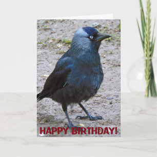 Tarjeta de felicitaciones adaptable del cuervo