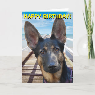 Tarjeta de felicitaciones adaptable del pastor