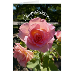 Tarjeta de felicitaciones al Rosa de té rosado rad