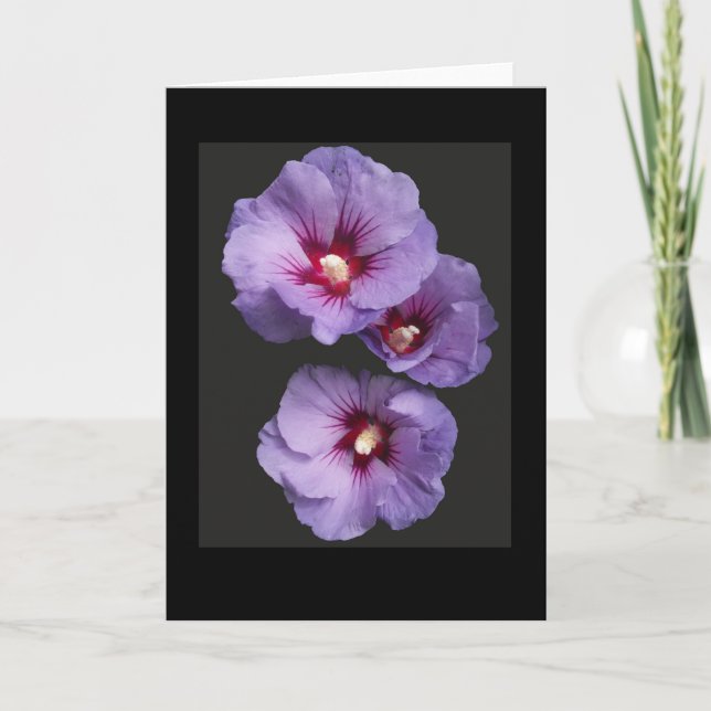 Tarjeta de felicitaciones Blue Hibiscus (Anverso)
