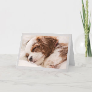 Tarjeta de Felicitaciones - Cachorro Durmiendo