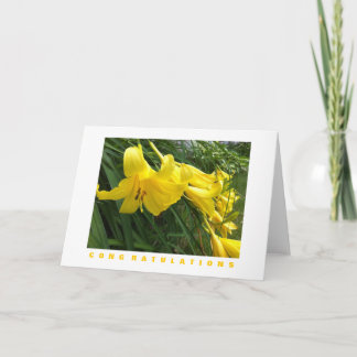 Tarjeta de felicitaciones: Daylilies, amarillo