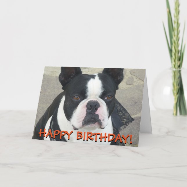 Tarjeta de felicitaciones de Boston Terrier (Anverso)