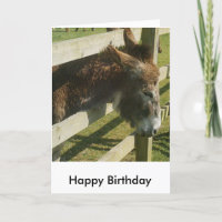 Tarjeta de felicitaciones de cumpleaños de Donkey
