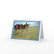 Tarjeta de felicitaciones de fotos de Donkey