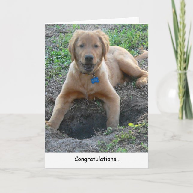 Tarjeta de felicitaciones de Golden Retriever (Anverso)