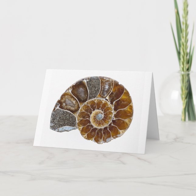 Tarjeta de felicitaciones de la bella arte (Anverso)