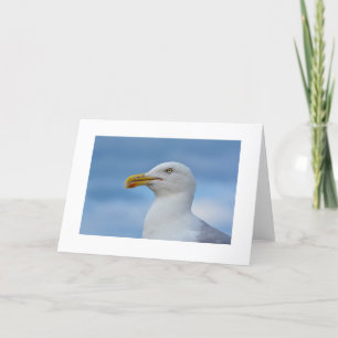 Tarjeta de felicitaciones de la gaviota