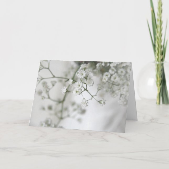 Tarjeta de felicitaciones de la pureza (Anverso)