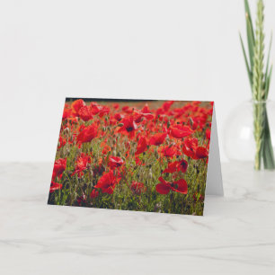 Tarjeta de felicitaciones de las amapolas