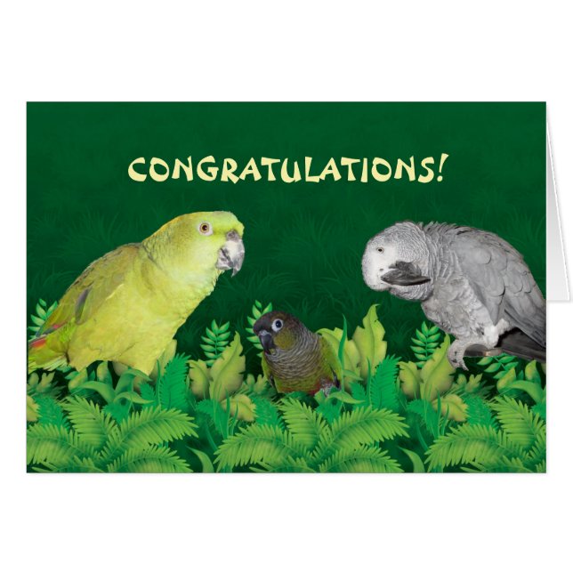 Tarjeta de felicitaciones de loro (Anverso (Horizontal))