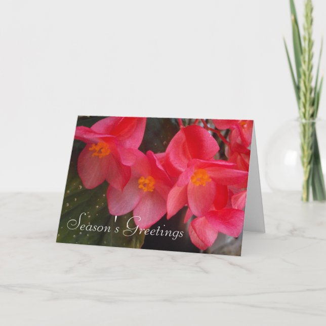 Tarjeta de felicitaciones de temporada (Anverso)