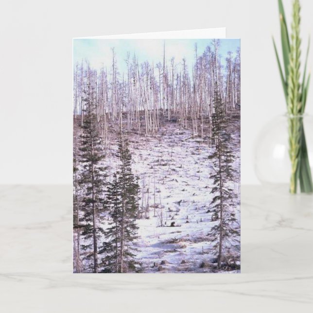 Tarjeta de felicitaciones de Winse Rise (Anverso)