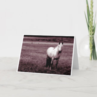 Tarjeta de felicitaciones del caballo