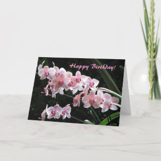 Tarjeta de felicitaciones del cumpleaños