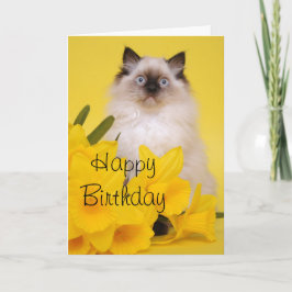 Tarjeta de felicitaciones del gatito de Ragdoll