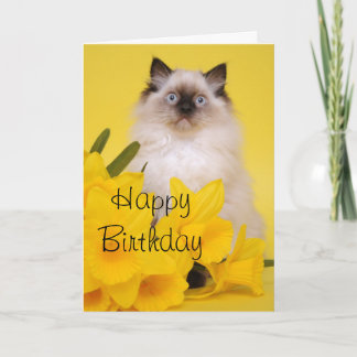 Tarjeta de felicitaciones del gatito de Ragdoll