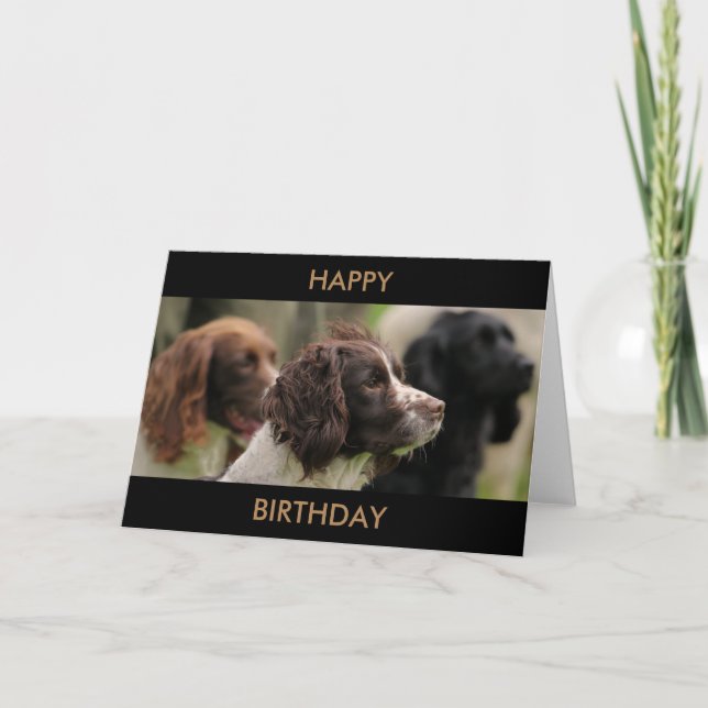 Tarjeta de felicitaciones del perro de aguas (Anverso)