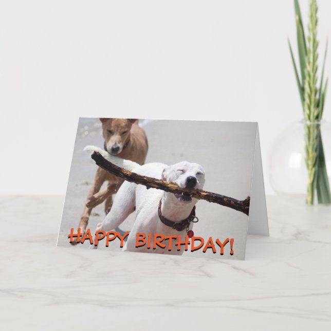 Tarjeta de felicitaciones divertida de los perros (Anverso)