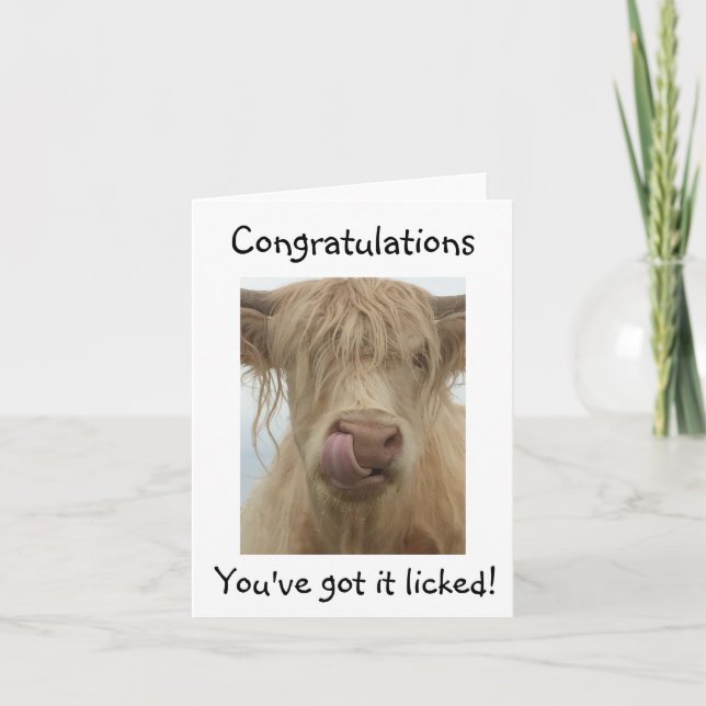 Tarjeta de felicitaciones divertidas para vacas (Anverso)
