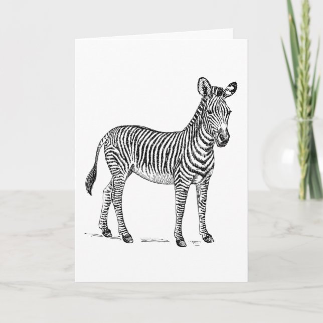 Tarjeta de felicitaciones en blanco de la cebra (Anverso)