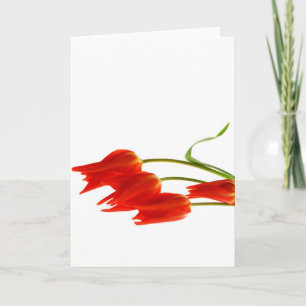 Tarjeta de felicitaciones en blanco de los