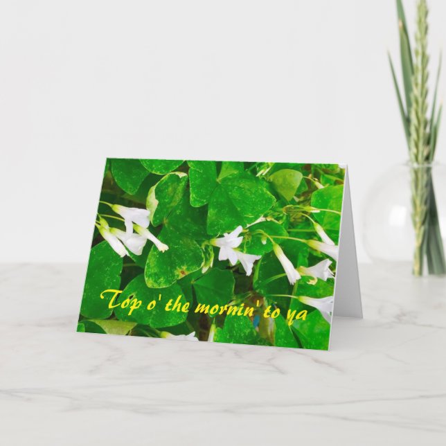 Tarjeta de felicitaciones en blanco del trébol (Anverso)