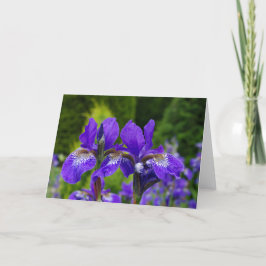 Tarjeta de felicitaciones floral, interior en