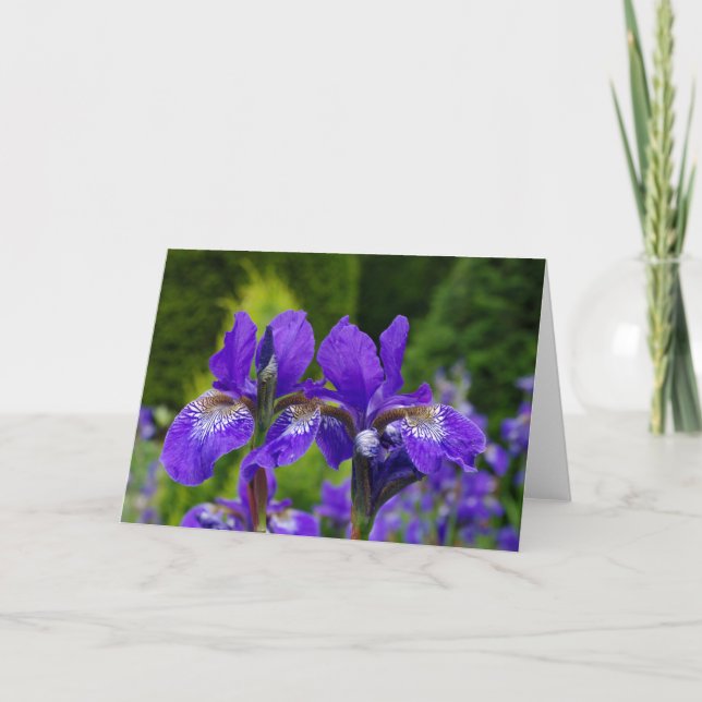 Tarjeta de felicitaciones floral, interior en (Anverso)