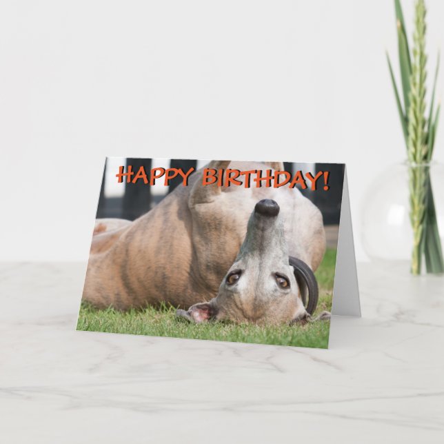 Tarjeta de felicitaciones linda divertida del (Anverso)