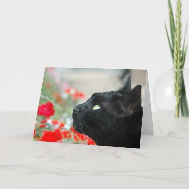 Tarjeta de felicitaciones - Mirando (Anverso)