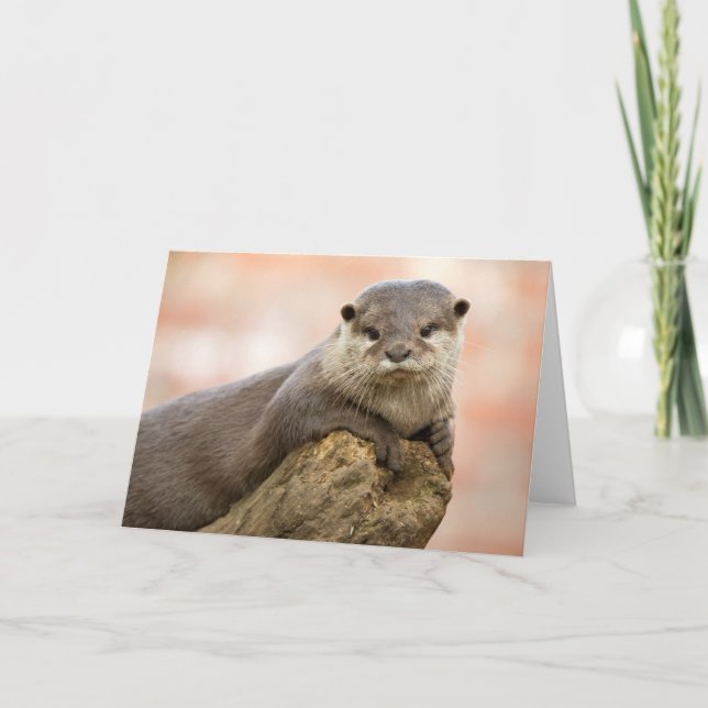 Tarjeta de felicitaciones Otter (Anverso)
