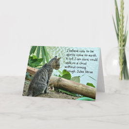Tarjeta de felicitaciones para gatitos con presupu