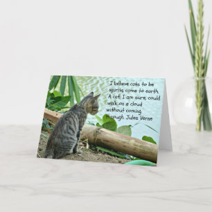 Tarjeta de felicitaciones para gatitos con presupu