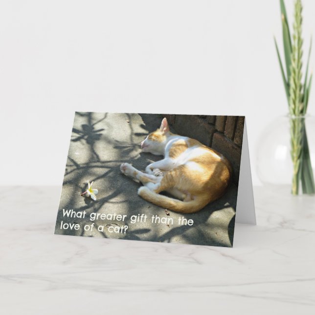 Tarjeta de felicitaciones para gatos - ¿Qué regalo (Anverso)