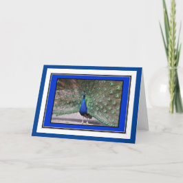 Tarjeta de felicitaciones para pavos reales
