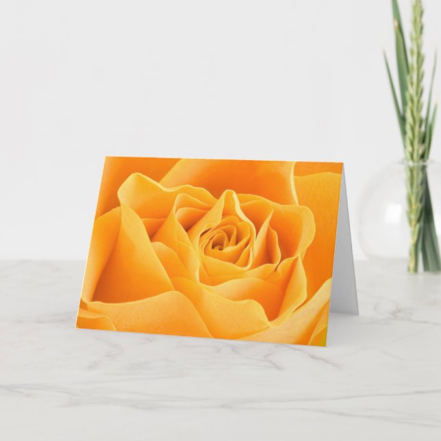 Tarjeta de felicitaciones Rosa del Naranja bonito (Anverso)