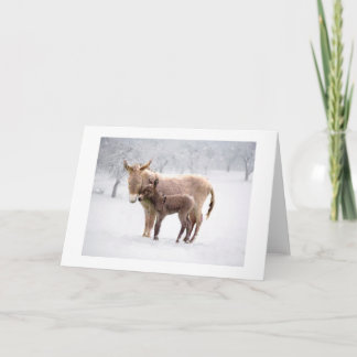 Tarjeta de felicitaciones: tarjeta de burros Snowy