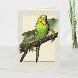 Tarjeta de felicitaciones verde del arte de Budgie