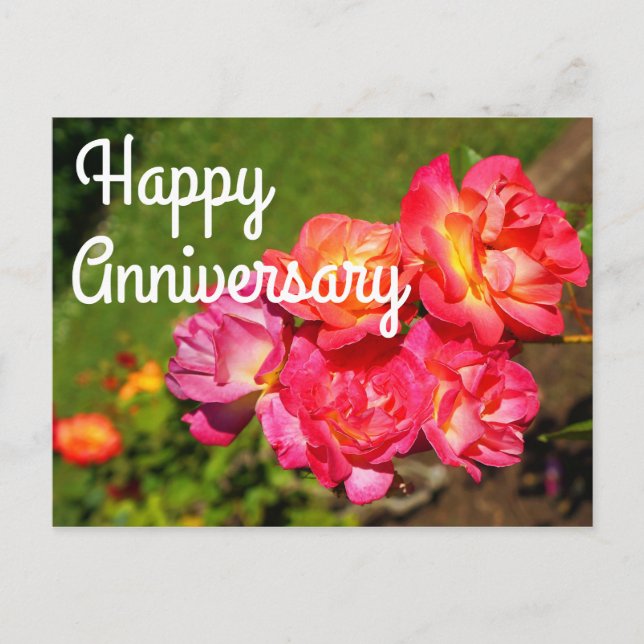 Tarjeta de Feliz Aniversario Rosa Joseph's Coat #1 (Anverso)