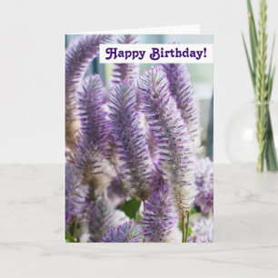 Tarjeta de Feliz Cumpleaños