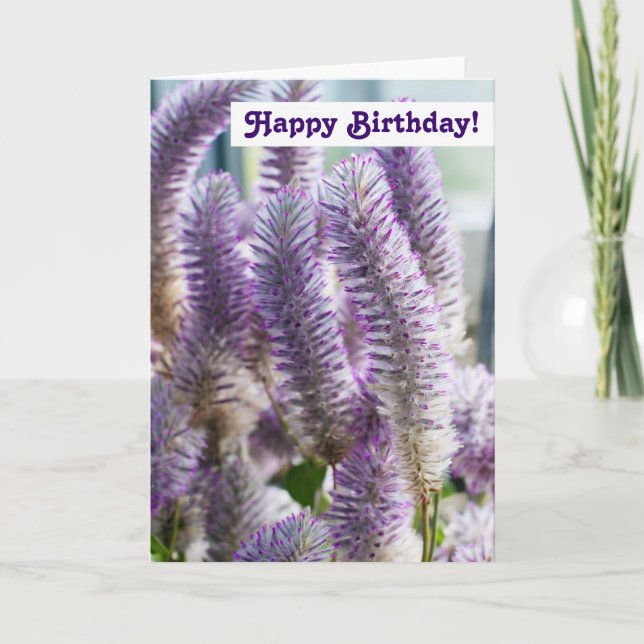 Tarjeta de Feliz Cumpleaños (Anverso)