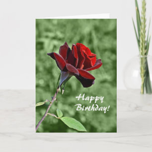 Tarjeta de Feliz Cumpleaños