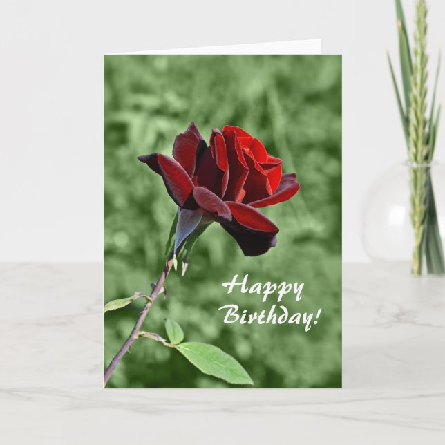 Tarjeta de Feliz Cumpleaños (Anverso)