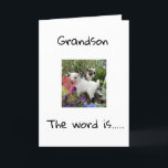 TARJETA DE FELIZ CUMPLEAÑOS A TI **NIETO**<br><div class="desc">FELIZ CUMPLEAÑOS ***NIETO**** GRACIAS POR PASAR POR UNA DE MIS OCHO TIENDAS</div>