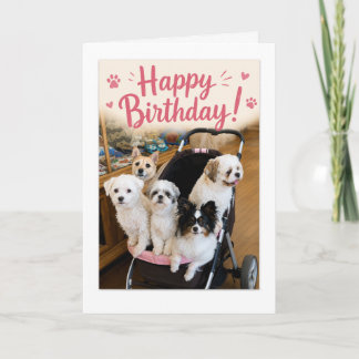 Tarjeta de Feliz Cumpleaños con Cinco Perros Impre