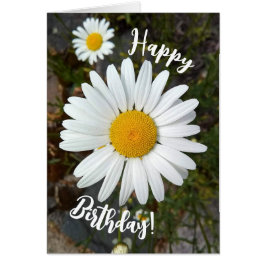 Tarjeta de Feliz Cumpleaños con Flor de Margarita