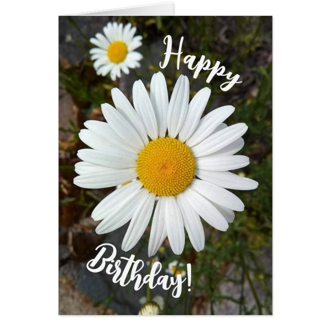 Tarjeta de Feliz Cumpleaños con Flor de Margarita  (Frente)